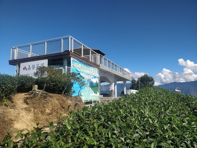 1314 Lookout