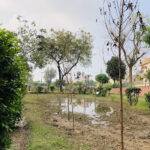 1st Urban Forest of Chiniot by Be Positive Productions