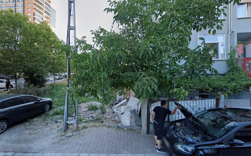 2006. Sk. No:2