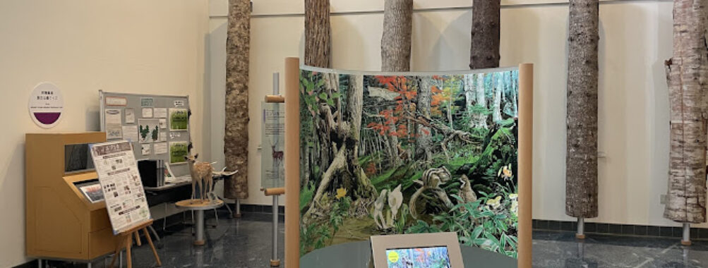 Akankohan Eco Museum Center Travel Forum Reviews