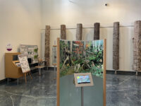 Akankohan Eco Museum Center Travel Forum Reviews