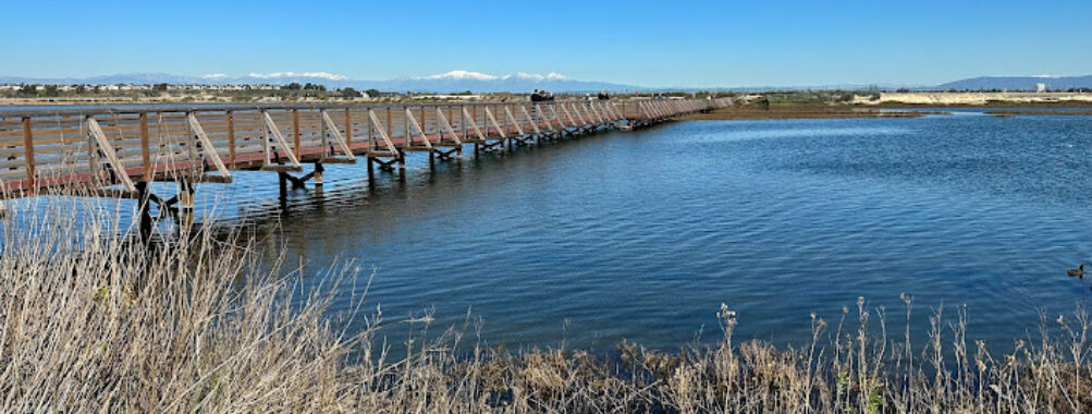 Bolsa Chica Ecological Reserve Travel Forum Reviews
