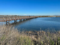 Bolsa Chica Ecological Reserve Travel Forum Reviews