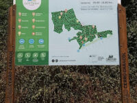 Cerro Caracol Travel Forum Reviews