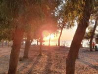 Dasoudi Travel Forum Reviews