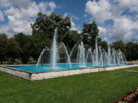 December 1st Park Travel Forum Reviews