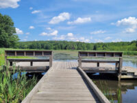 Fitzgerald Lake Conservation Area Travel Forum Reviews