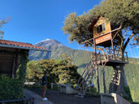 La Casa del Arbol Travel Forum Reviews