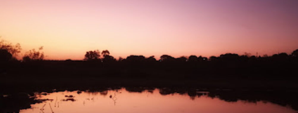 Lagoa Municipal Travel Forum Reviews