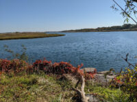 Marine Park Travel Forum Reviews