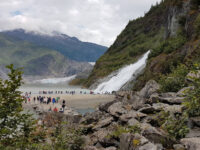 Mendenhall Glacier Travel Forum Reviews