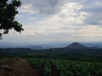 Museo del Tabaco de San Andrés Tuxtla Travel Forum Reviews
