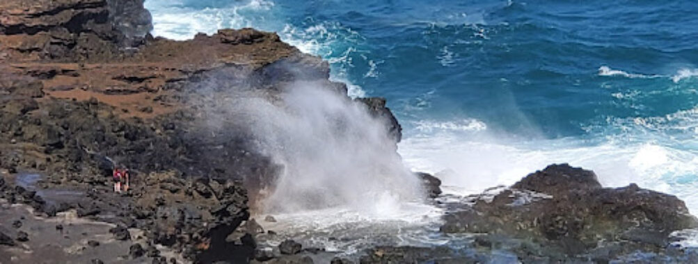 Nakalele Blowhole Travel Forum Reviews