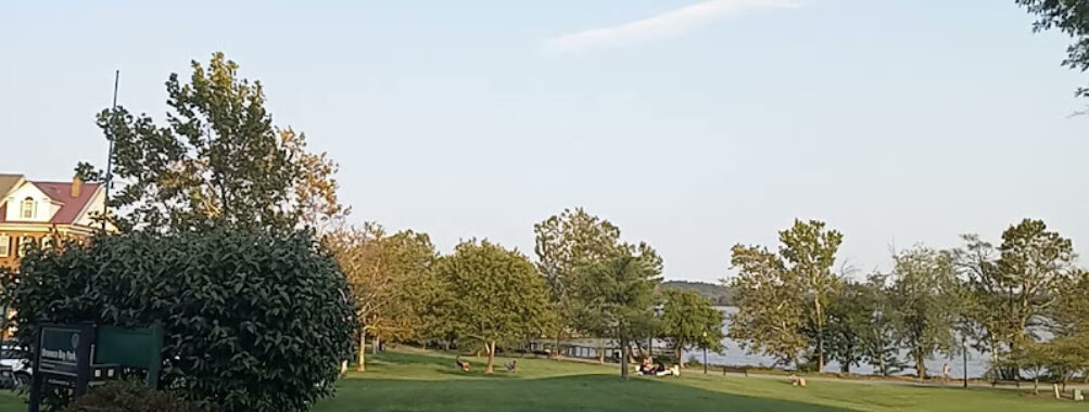 Oronoco Bay Park Travel Forum Reviews