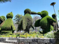 PARQUE JUAN VELA Travel Forum Reviews