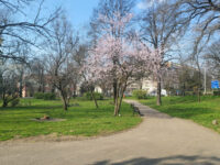 Parcul Petőfi Sándor Travel Forum Reviews