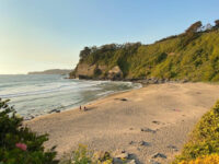 Playa Rocoto Travel Forum Reviews