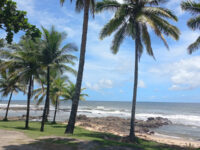 Praia de Olivença Travel Forum Reviews