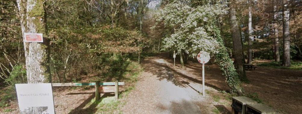Promenade en forêt Travel Forum Reviews