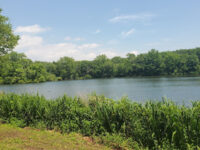 Reverend Arthur Mackey Park Travel Forum Reviews