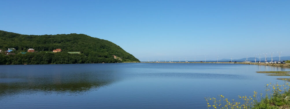 Ritz Beach Travel Forum Reviews