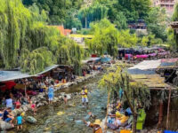 Sti Fadma Travel Forum Reviews