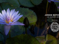 Val Rahmeh-Menton Botanical Garden Travel Forum Reviews