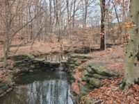 Winkler Botanical Preserve Travel Forum Reviews