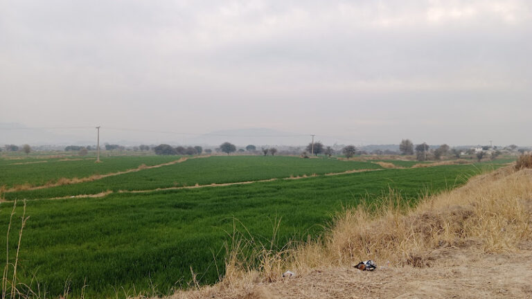 محلہ عشراہ پارک