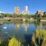 Bicentenario Park