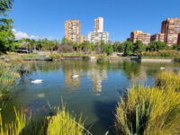 Bicentenario Park Travel Forum Reviews