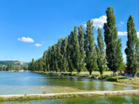 Jetée d'Yverdon Travel Forum Reviews