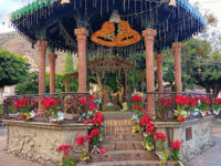 Kiosco de Ajijic Travel Forum Reviews