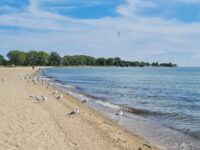 Lake Saint Clair Metropark Travel Forum Reviews