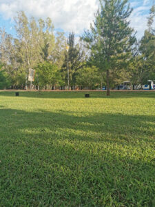 Lineal Vias Verdes Park