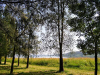 Presa de Calderon Ecological Park Travel Forum Reviews