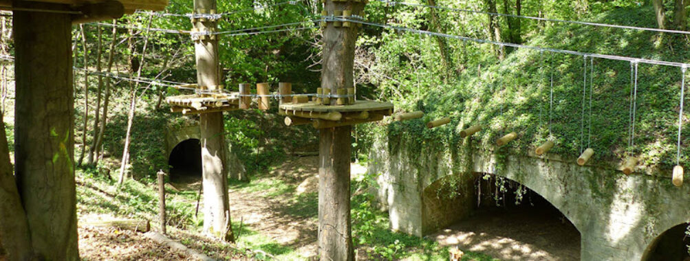 Vanciaventure - parcours aventures & escape game Travel Forum Reviews