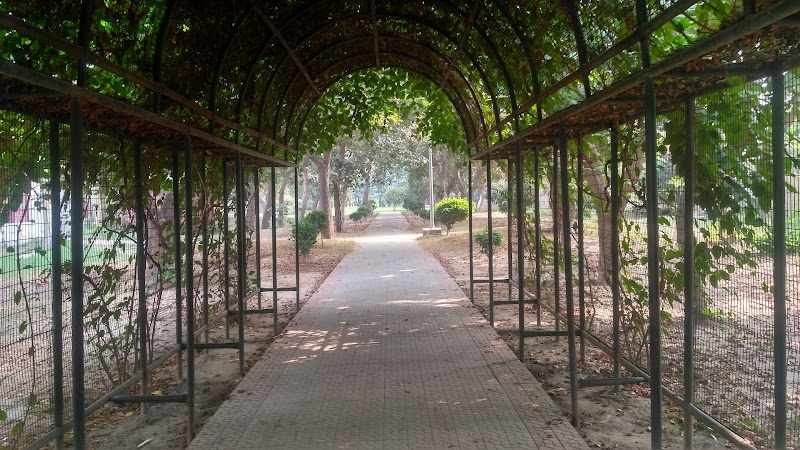 3D Park