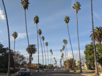 698 E Main St Travel Forum Reviews
