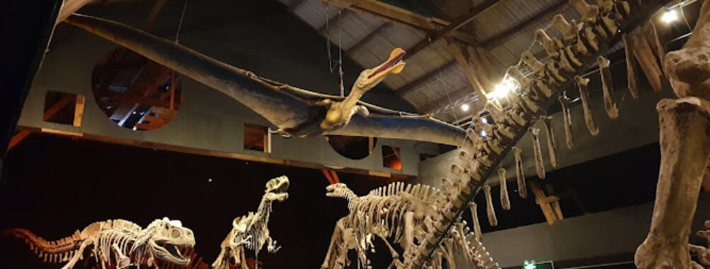 A World of Dinosaurs Travel Forum Reviews
