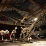 A World of Dinosaurs