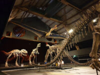 A World of Dinosaurs Travel Forum Reviews