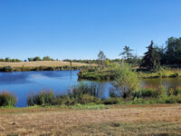 A.E. Wilson Park Travel Forum Reviews