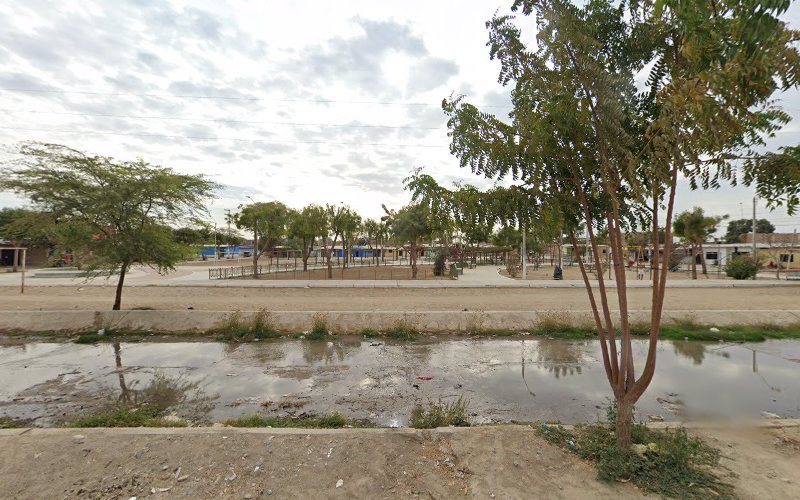 AA.HH 15 de Marzo Park