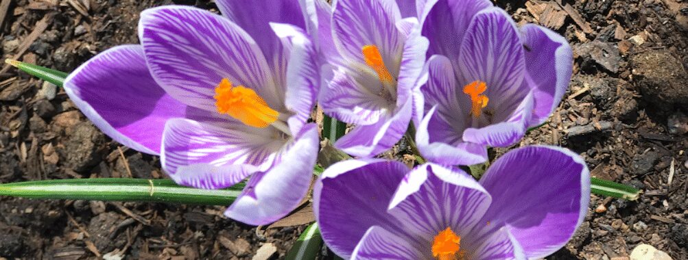ABQ BioPark - Botanic Garden Travel Forum Reviews
