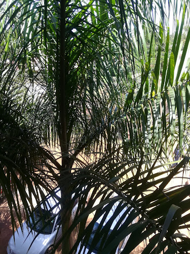 ACEHC Busia Restoration Center