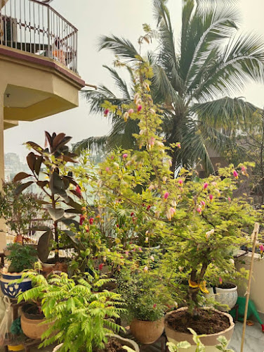 AG Colony