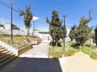 ALAMEDA COLUMNA PASCO Travel Forum Reviews
