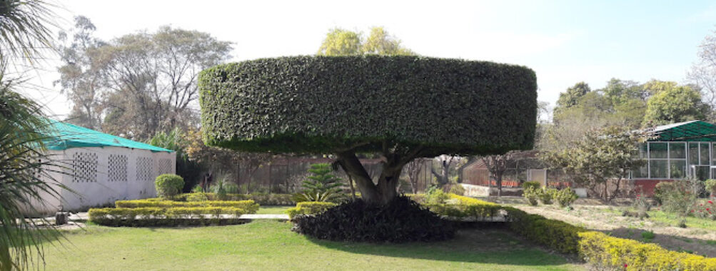AMU Botanical Garden Travel Forum Reviews