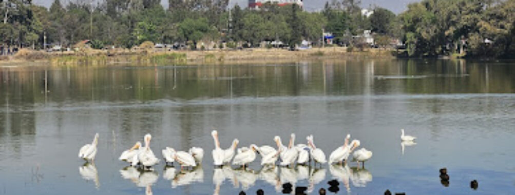 ANP Espejo de los Lirios Travel Forum Reviews